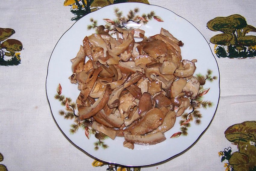 Гриб Куриное Мясо Фото