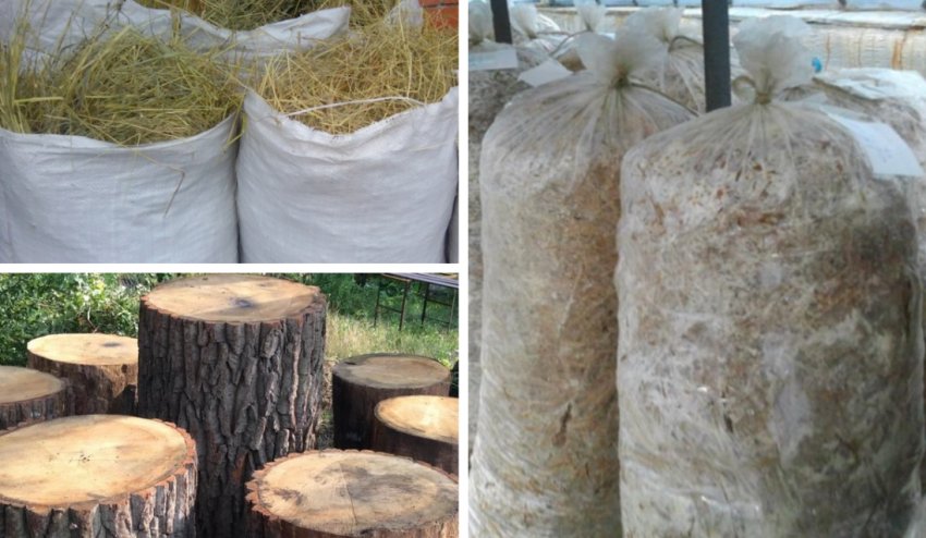 Види субстрату Види субстрату