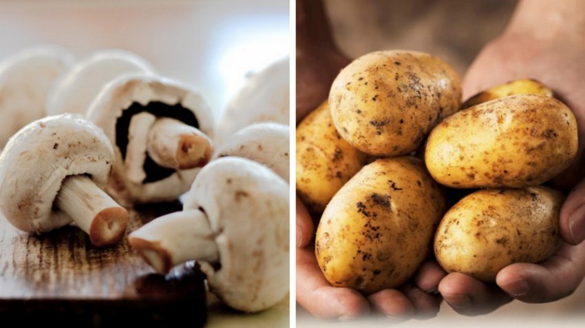 Інгредієнти для страви Інгредієнти для страви