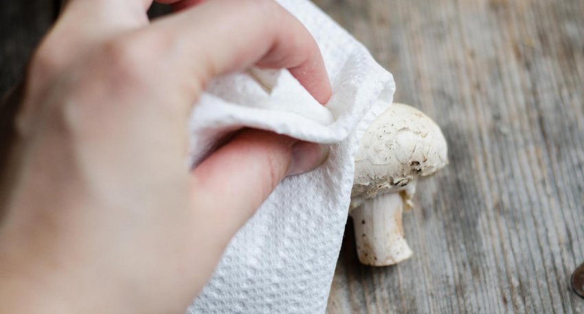 Підготовка печериць до приготування Підготовка печериць до приготування