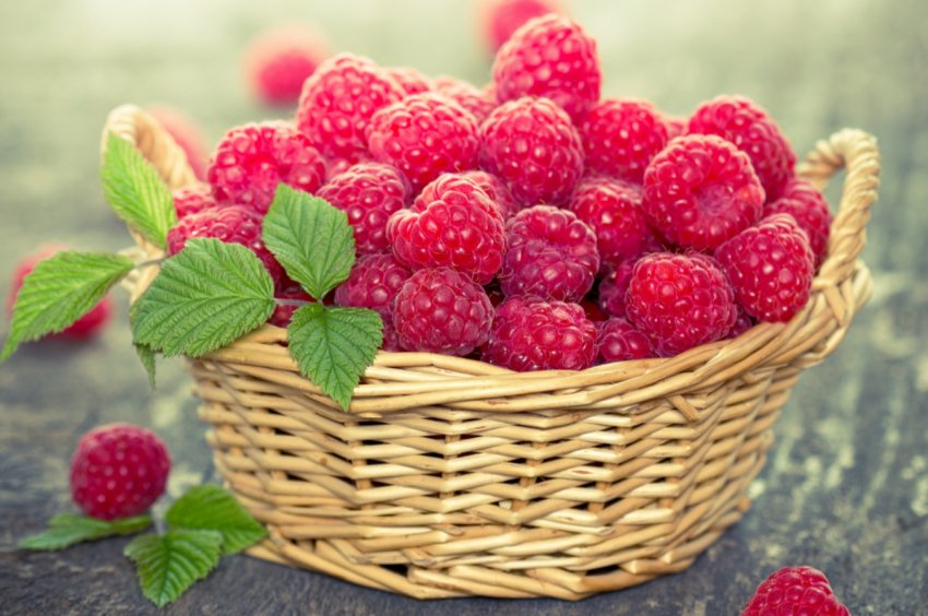 В Україні майже закінчився сезон свіжої ягоди: експерти підбивають підсумки В Україні майже закінчився сезон свіжої ягоди: експерти підбивають підсумки