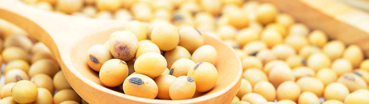 «Західний Буг» зважує сою прямо у полі