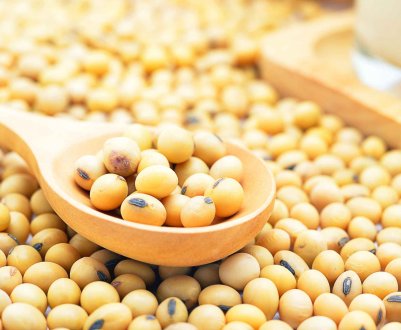 «Західний Буг» зважує сою прямо у полі