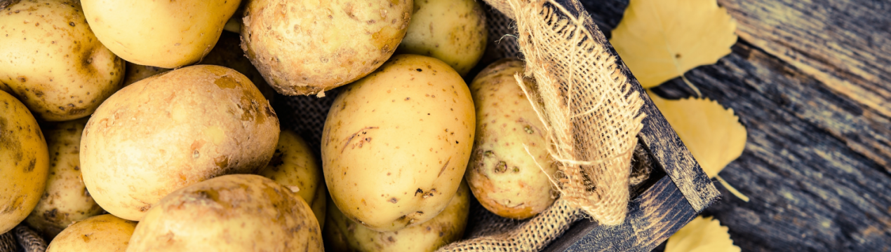 Уряд Ірану подвоїла виробництво картоплі