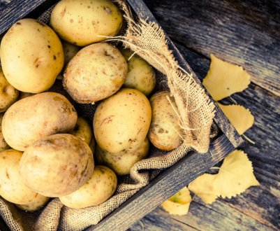 Уряд Ірану подвоїла виробництво картоплі