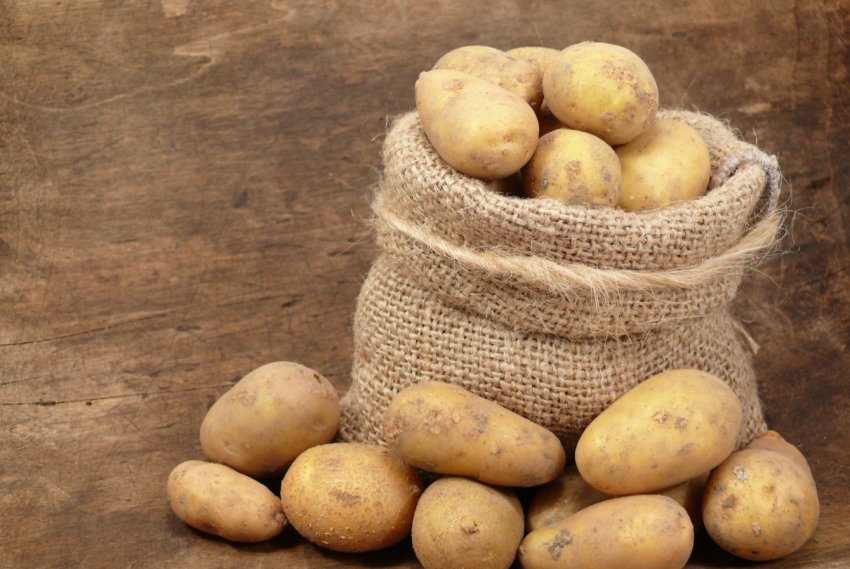 Уряд Ірану подвоїла виробництво картоплі Уряд Ірану подвоїла виробництво картоплі