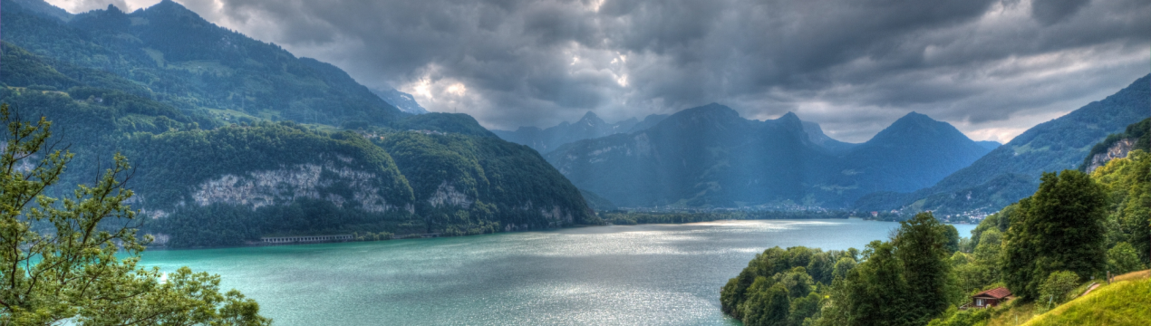 Скотарі зі всього світу готуються до альпійської агровиставці