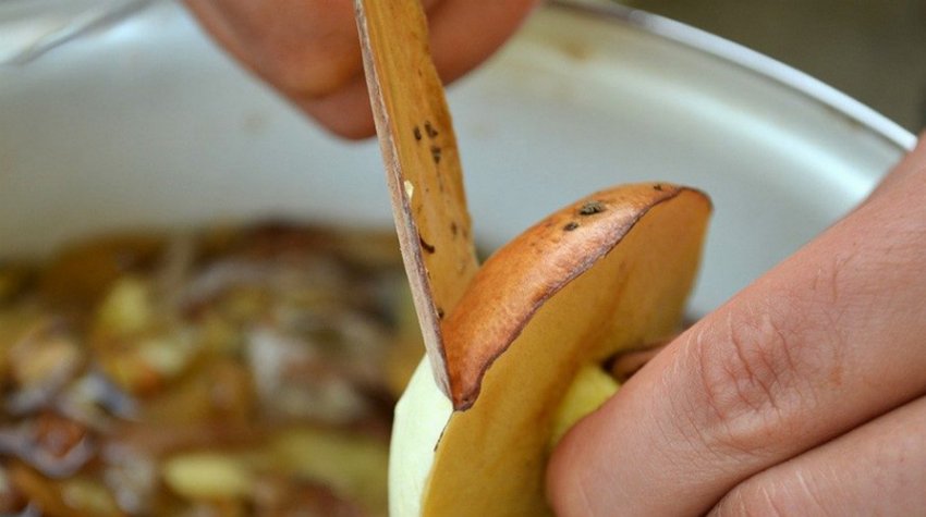 Очищення маслюків