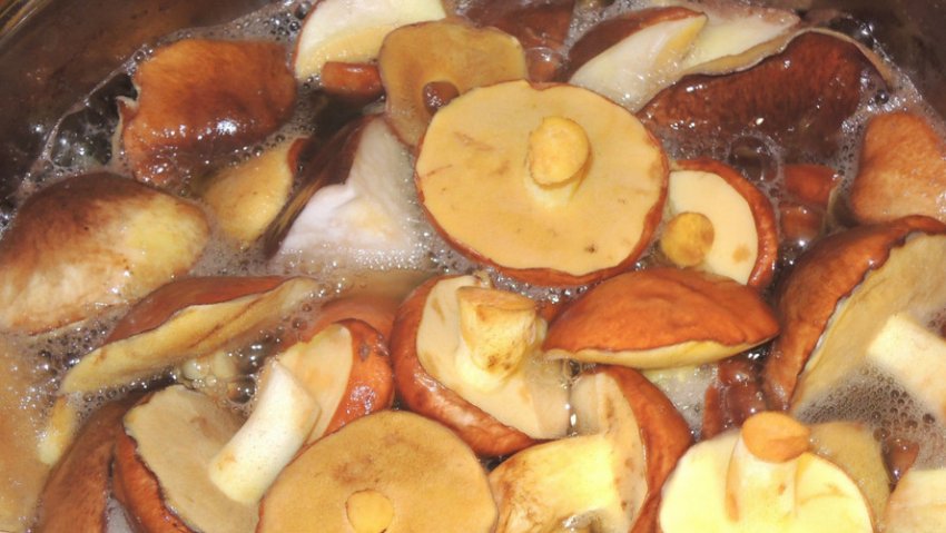 Варіння маслюків