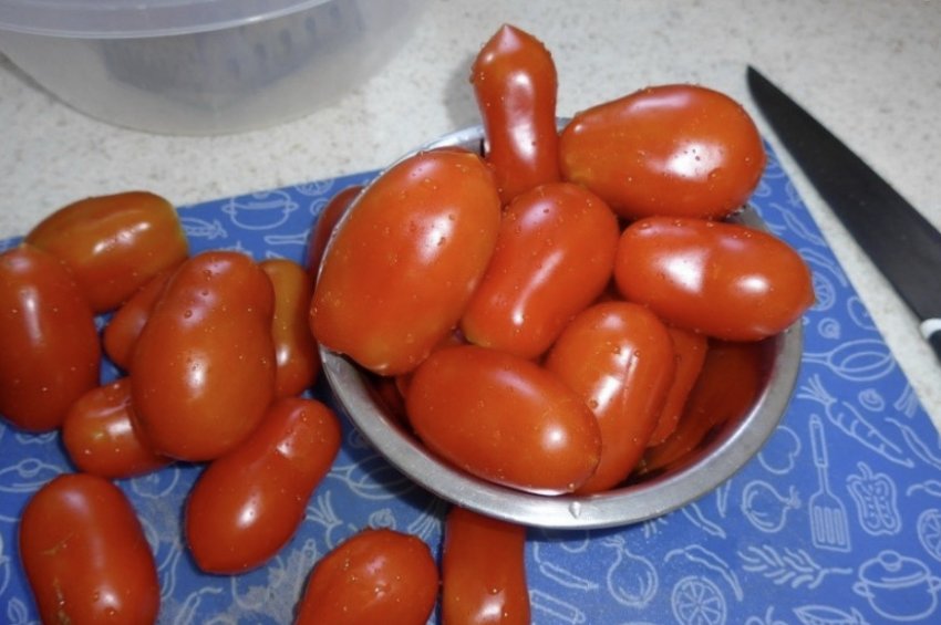 Томат Човник