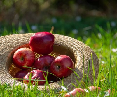 Найближчим часом Україну чекає обвал цін на яблука