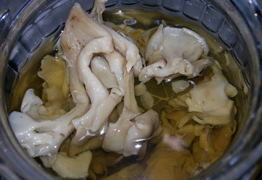 Маринований гриб