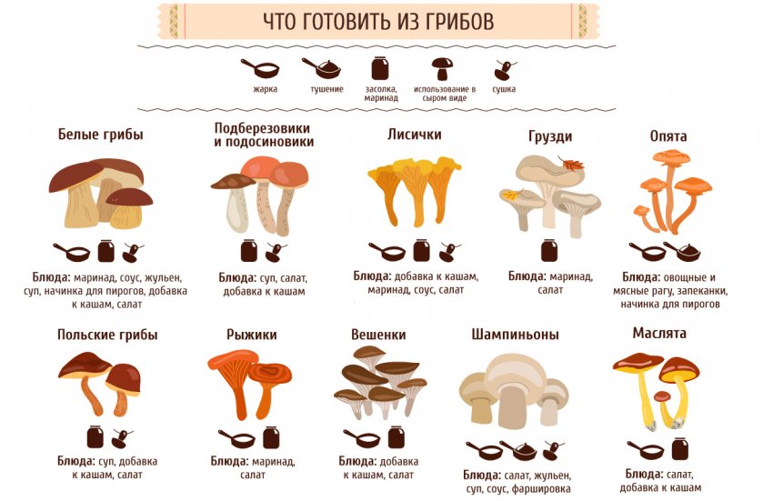Что приготовить из грибов