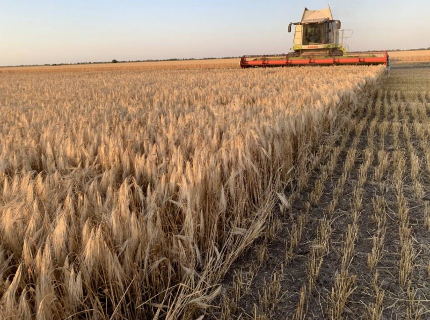 Відсталий колгосп: вінницькі аграрії не поспішають сіяти озимі Відсталий колгосп: вінницькі аграрії не поспішають сіяти озимі