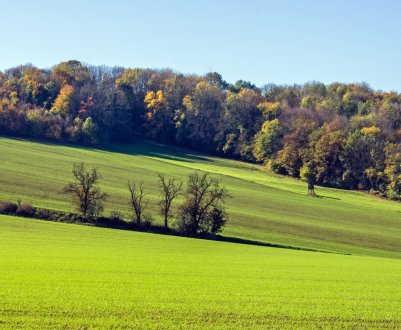 Відсталий колгосп: вінницькі аграрії не поспішають сіяти озимі