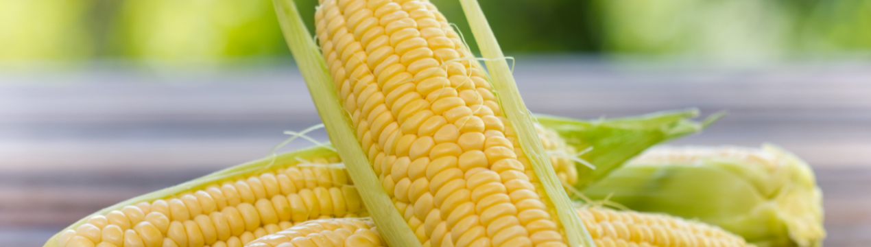 Фермери Індії знайшли сильного союзника в боротьбі з армійським черв'яком