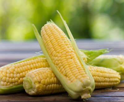 Фермери Індії знайшли сильного союзника в боротьбі з армійським черв'яком