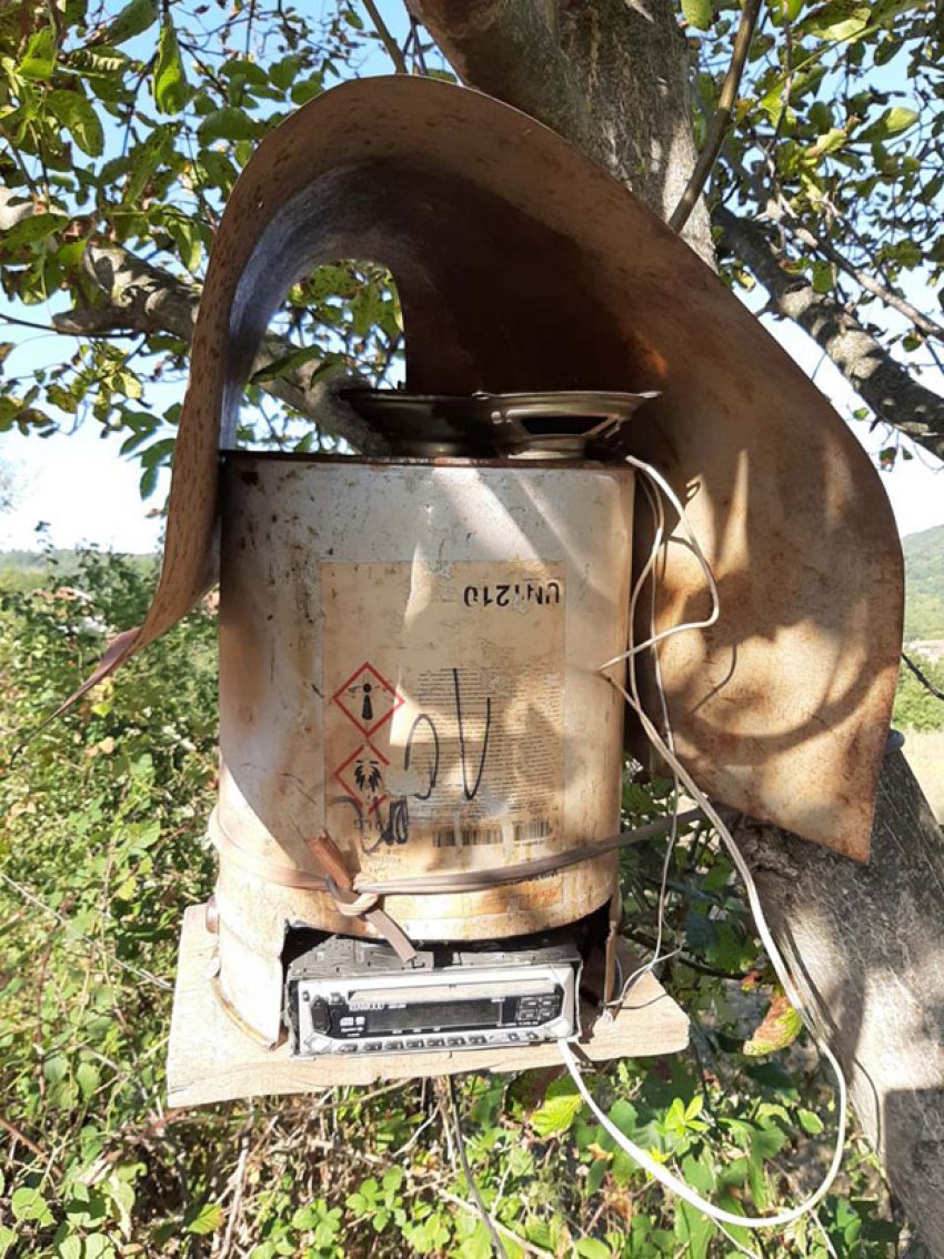 Сербські фермери лякають диких кабанів народною музикою