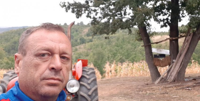 Сербські фермери лякають диких кабанів народною музикою