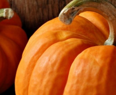 Особливості будови гарбуза, хімічний склад, користь і шкоду вживання