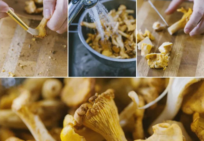 Обробка лисичок Обробка лисичок