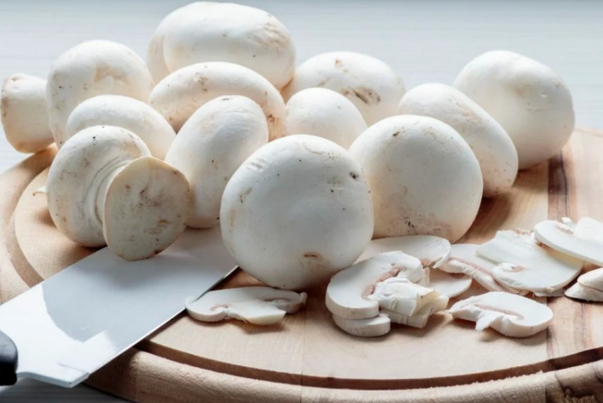 Печериці Печериці