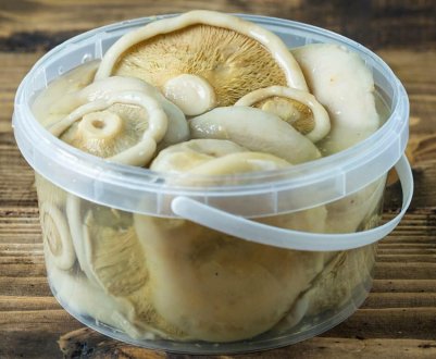 Як солити грузді холодним способом