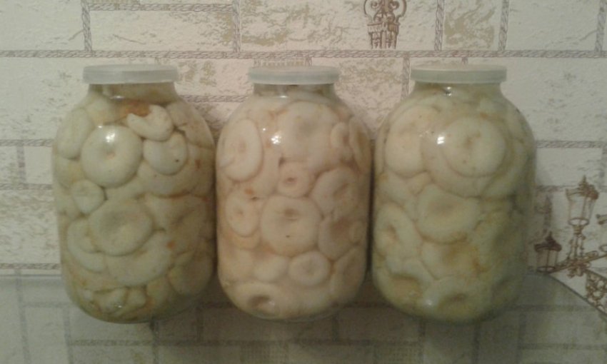 Солоні грузді Солоні грузді