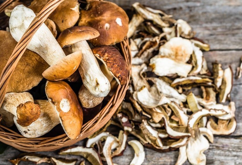 Сушені білі гриби Сушені білі гриби