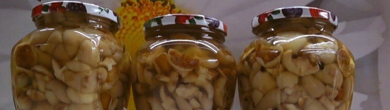 Як заготовляти на зиму маслюки