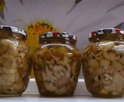 Як заготовляти на зиму маслюки