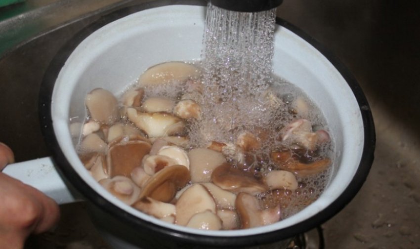 В подсоленной воде варят. Промывание грибов. Замоченные грибы. Грибы в воде. Мытье грибов.
