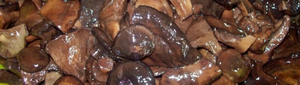 Як солити на зиму свинушки