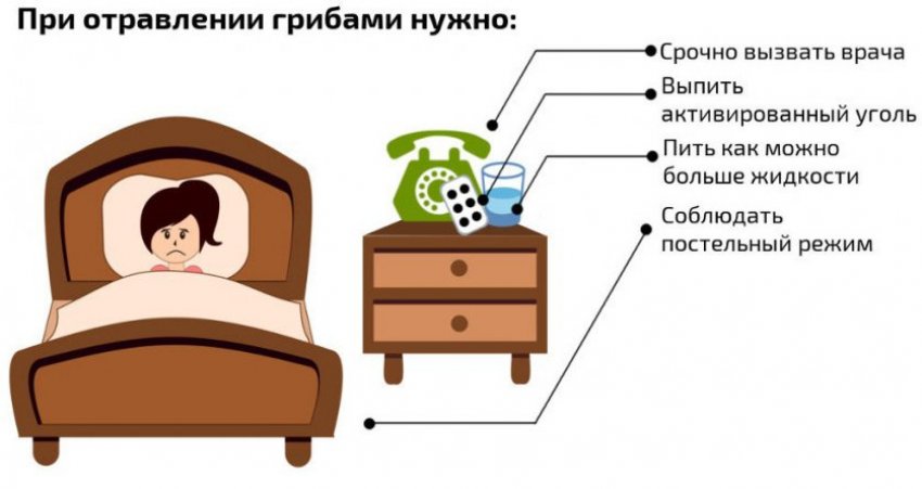 Отруєння грибами Отруєння грибами