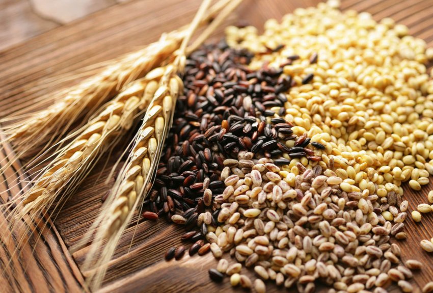 Найбільша в світі міська ферма відкриється в Парижі