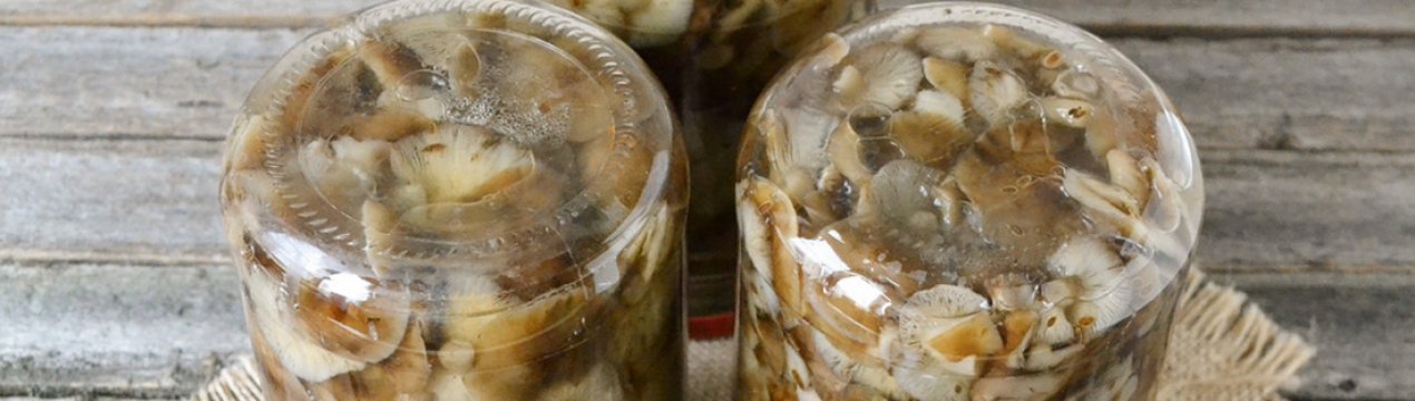 Як маринувати опеньки