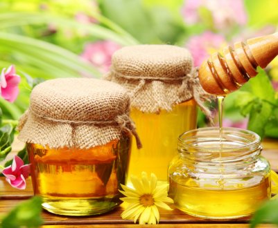 Перша міська пасіка буде створена в Польщі