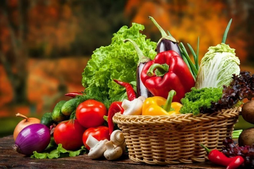 Фотоелектрична оранжерея відкрилася у Франції