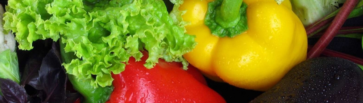 Фотоелектрична оранжерея відкрилася у Франції