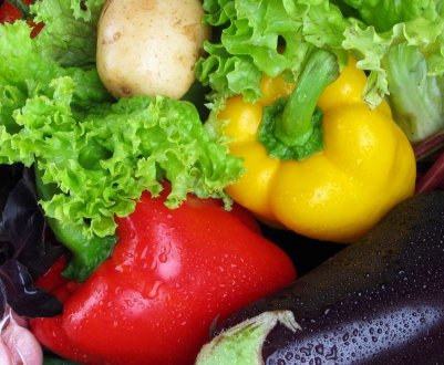 Фотоелектрична оранжерея відкрилася у Франції