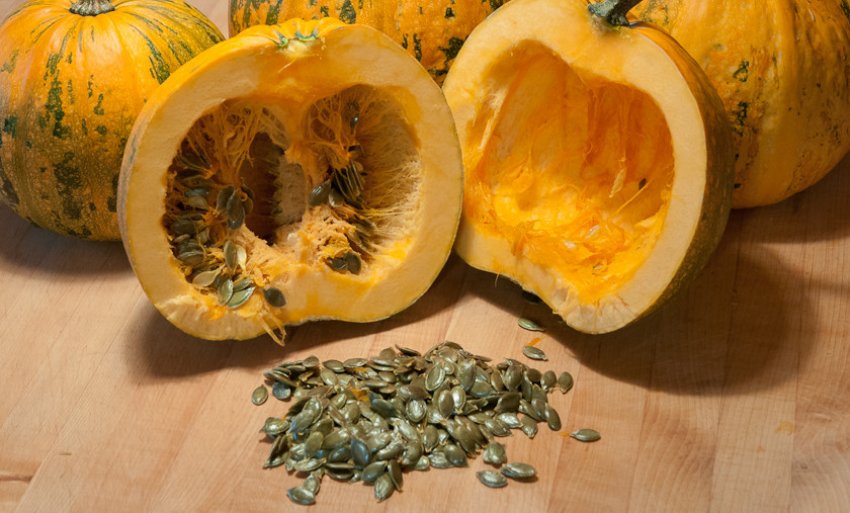 Насіння голосемянной гарбуза Насіння голосемянной гарбуза