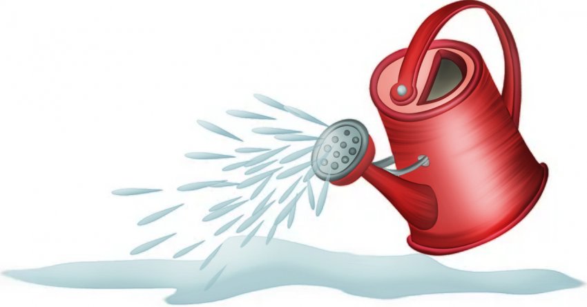 Полив спіреї