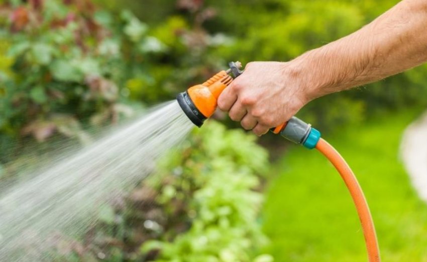 Полив рослини Полив рослини