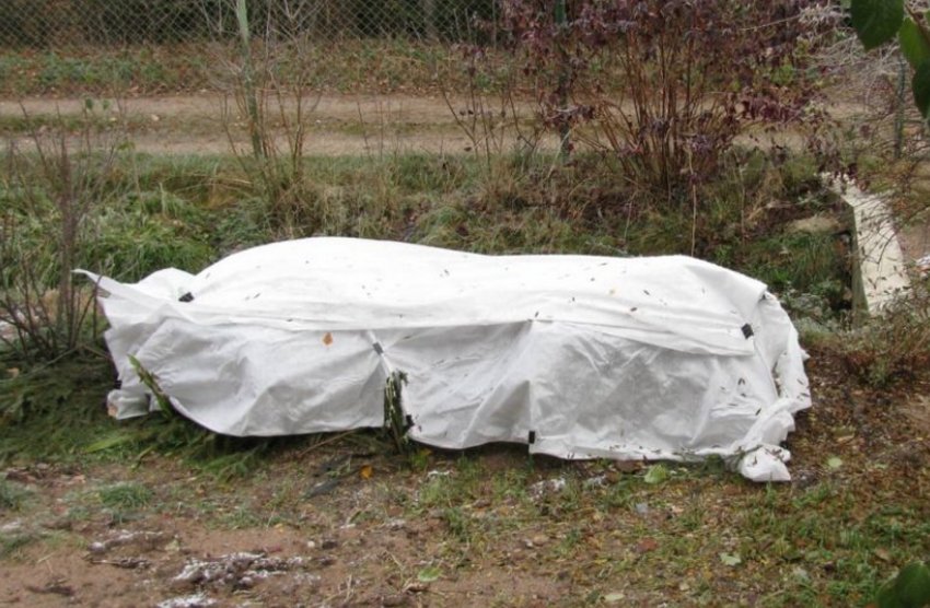 Укриття на зиму Укриття на зиму