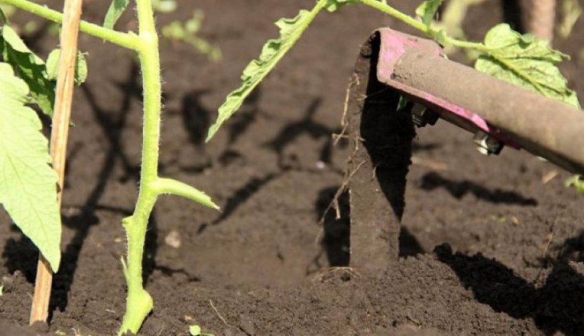 Розпушування грунту Розпушування грунту