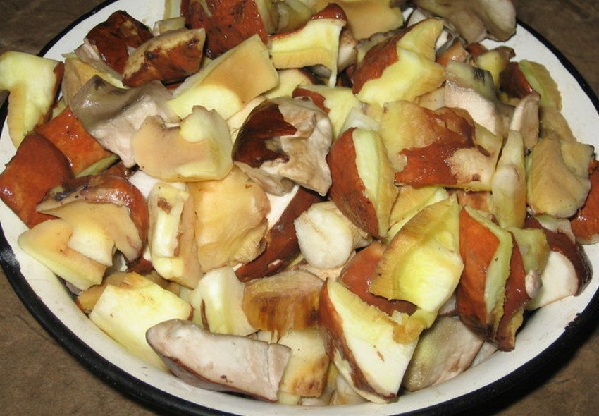 Підготовка і нарізка маслюків Підготовка і нарізка маслюків