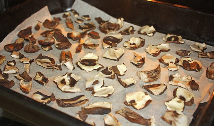 Сушка маслюків в духовці Сушка маслюків в духовці