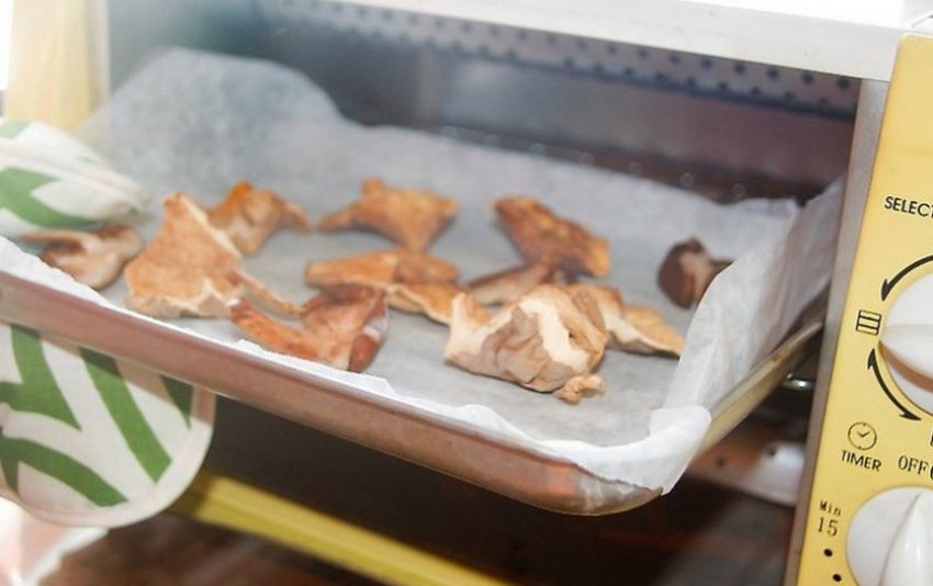 Сушка маслюків в мікрохвильовці Сушка маслюків в мікрохвильовці