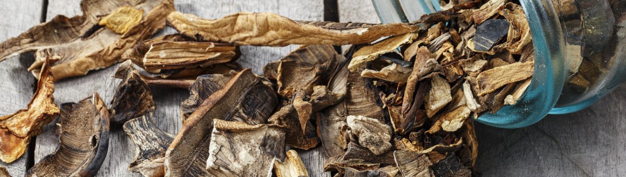 Способи сушіння маслюків