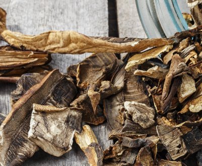 Способи сушіння маслюків